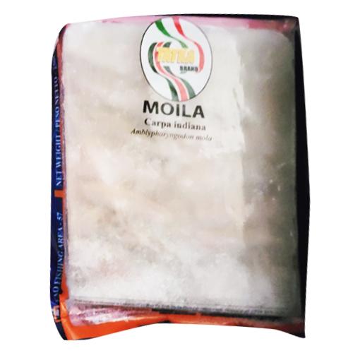 Tatka Moila Carpa Indlana